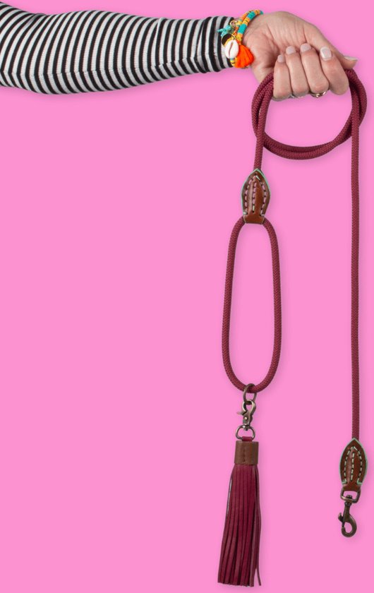 Dog With A Mission -  Bonnie Dog Leash 